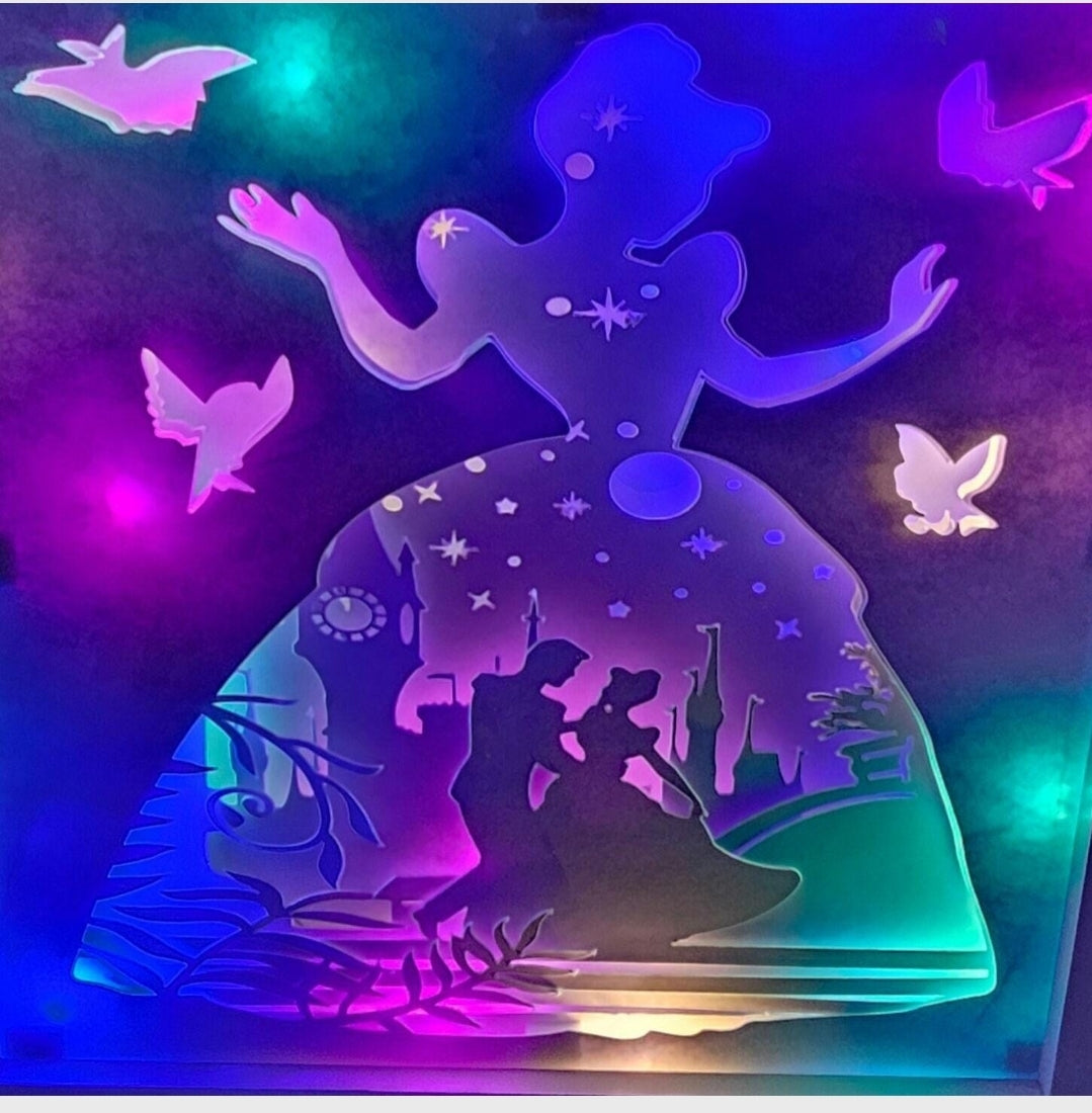 Enchanted Princess Shadow box | light box | birthday gift | mothers day gift
