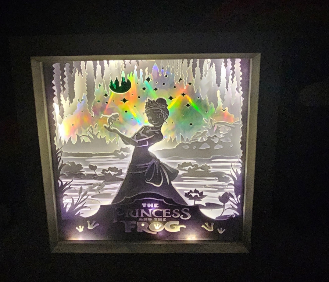 Bayou Dreamer Shadow box